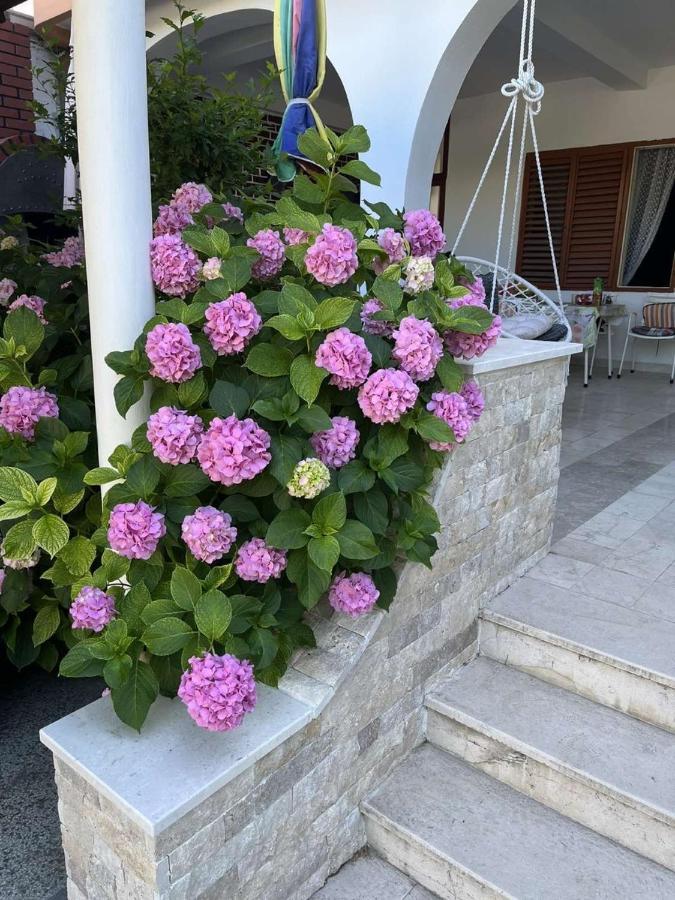 Studio Rooms Moncherie Ulcinj Zewnętrze zdjęcie
